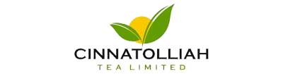 Cinnatollia