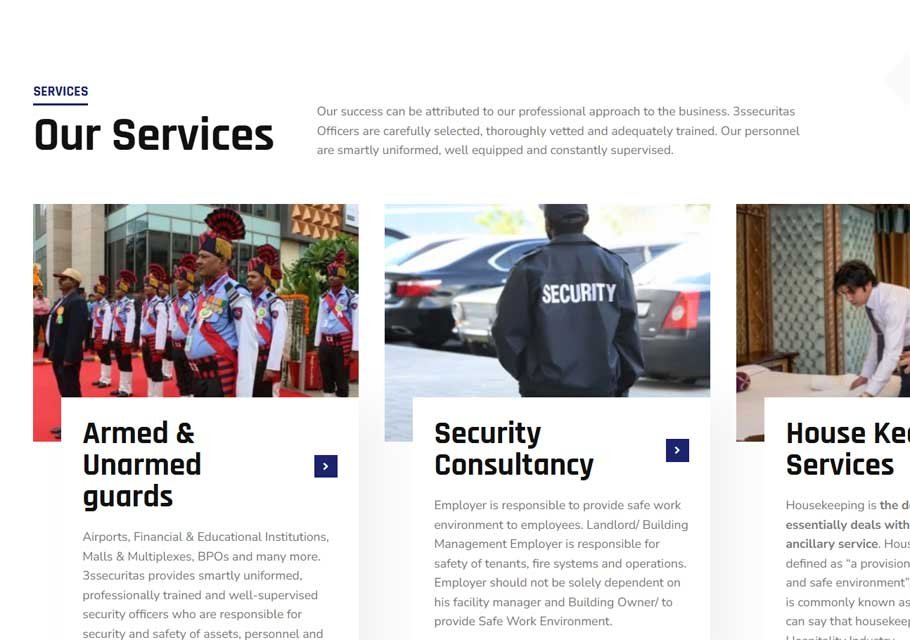 3S Securitas Services